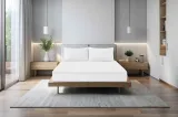Cannon Poly Plush Fitted Sheet Solid Twin